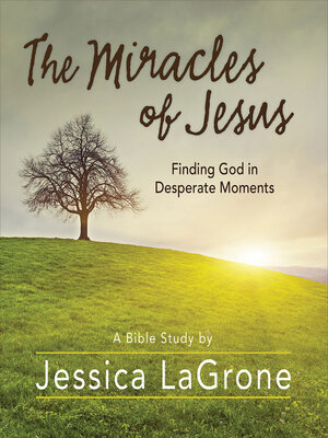 cover image of The Miracles of Jesus--Women's Bible Study Participant Workbook